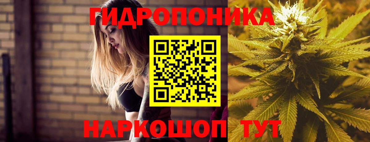 Камышин  Шишки марихуана SATIVA & INDICA  Каннабис LSD WEED  Шишки марихуана VHQ  Канабис марихуана  Вход с VPN 